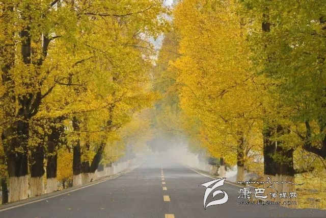 康定新都橋,，有一條黃金大道通往夢(mèng)中的天堂
