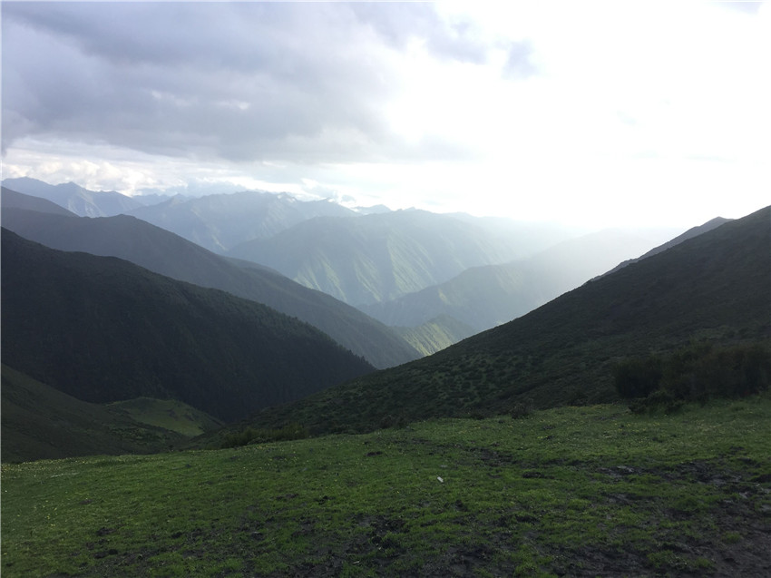 牧場遠(yuǎn)眺,。.jpg