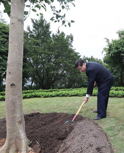 2012年12月7日至11日，習(xí)近平在廣東省考察工作,。這是8日上午,，習(xí)近平在深圳蓮花山公園種下一棵高山榕樹(shù)。新華社記者 蘭紅光 攝